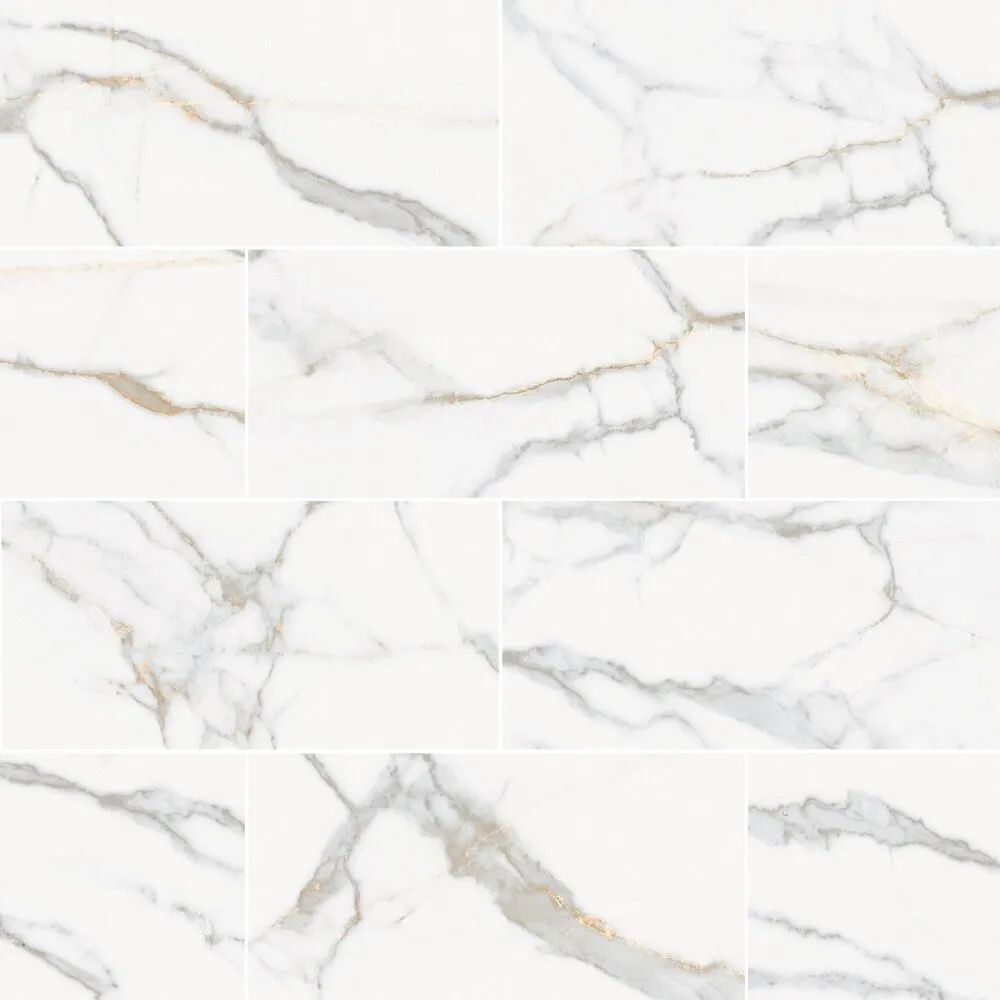 Calacatta 12X24 Matte
