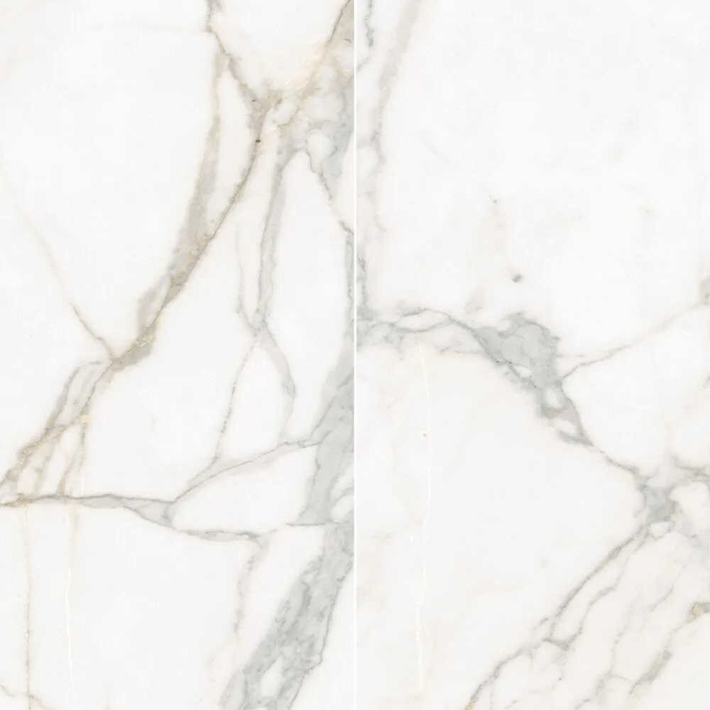 Calacatta 24X48 Matte