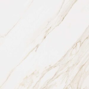 Calacatta 48X48 Matte
