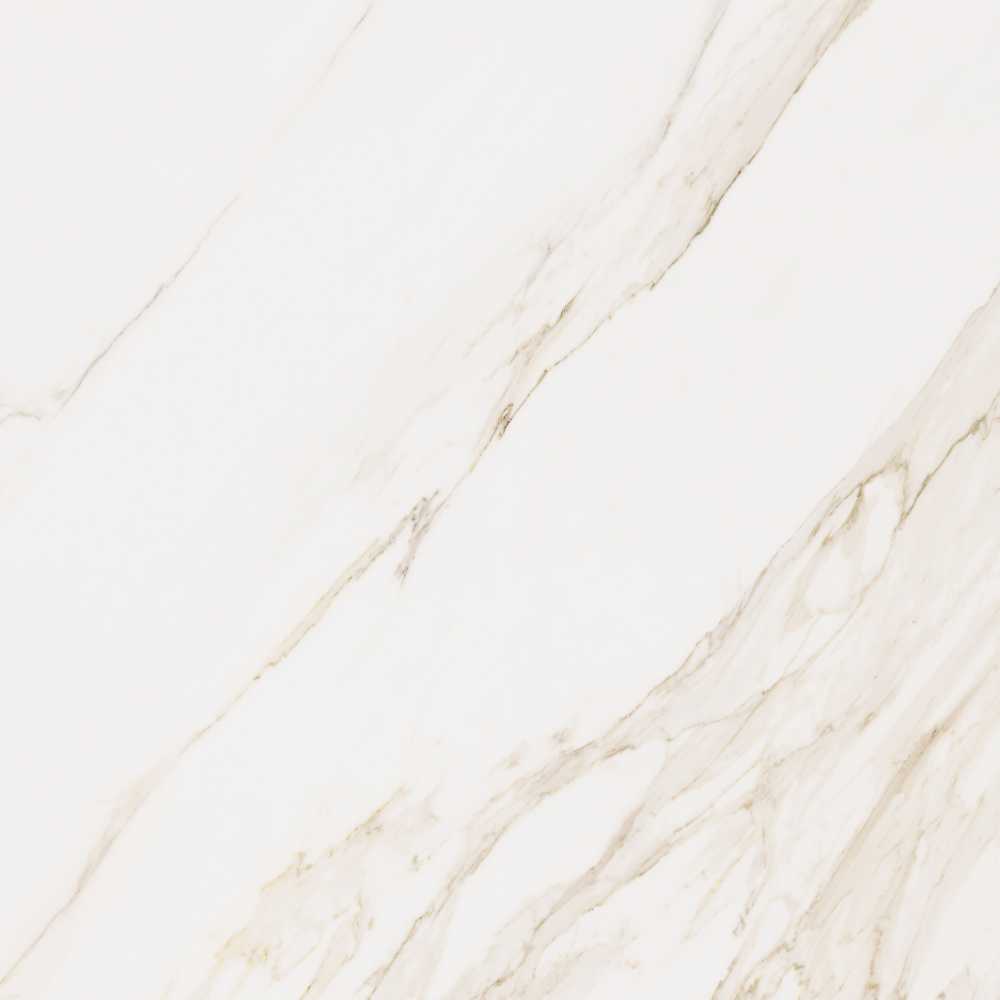 Calacatta 48X48 Matte