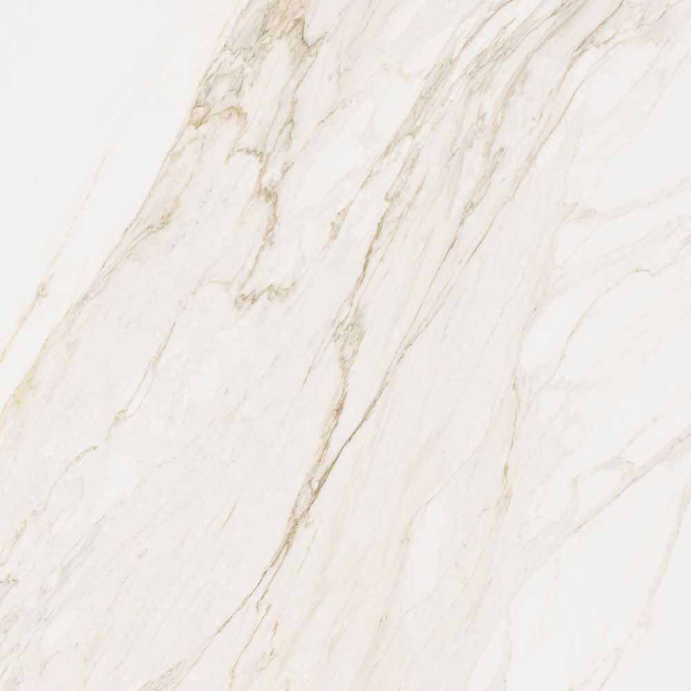 Calacatta 48X48 Polished