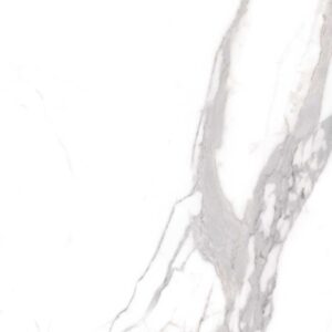 Statuario 48X48 Polished