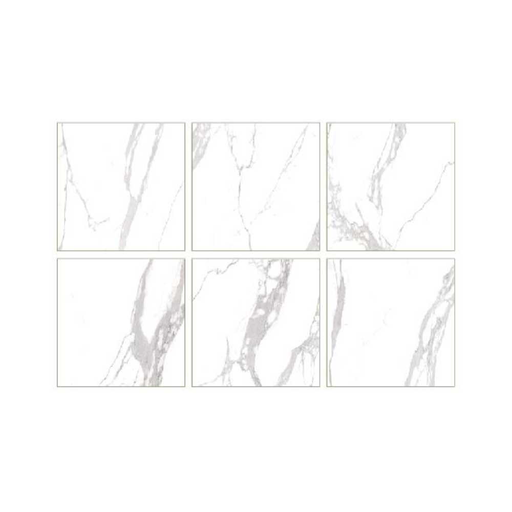 Dolomite 48X48 Polished - Image 2