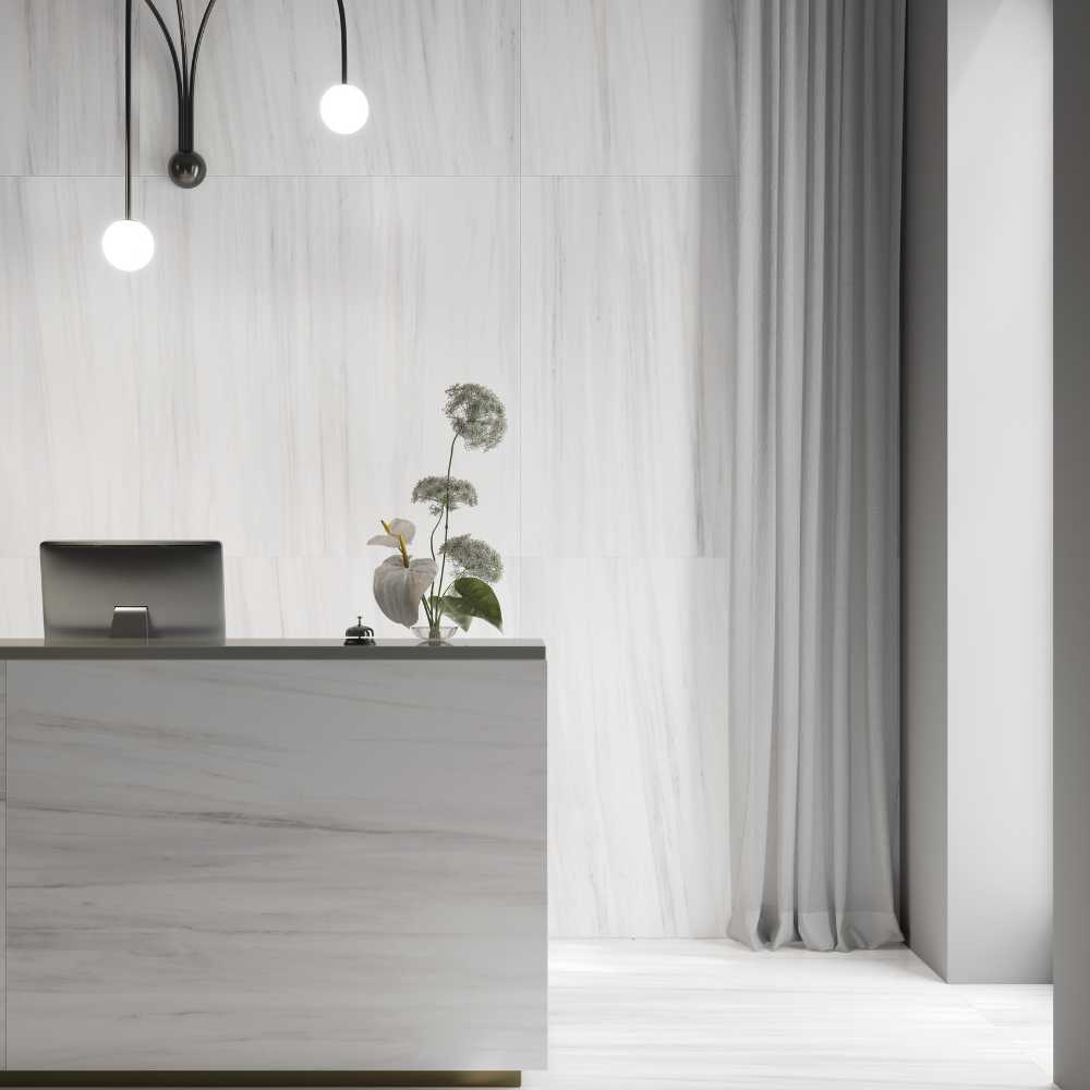 Dolomite 48X48 Polished - Image 3