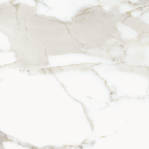 Calacatta 16X16 Matte