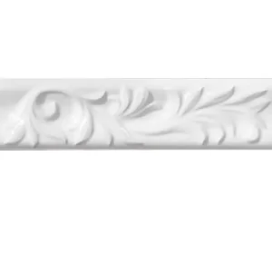 Bianco 2X10 List Polished