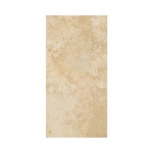 Ebur 12X24 Matte