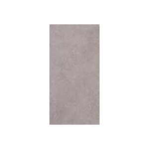 Silver 12X24 Matte