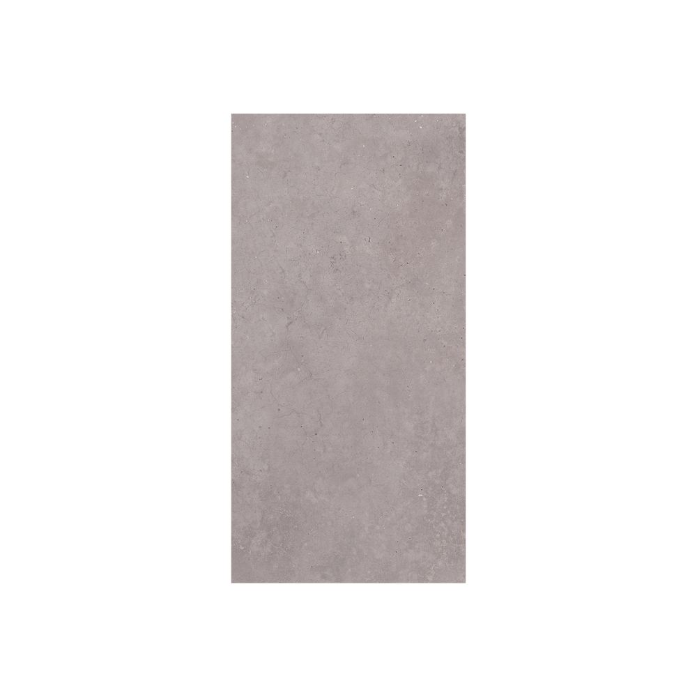 Silver 12X24 Matte