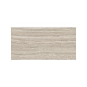 Taupe 24X48 Matte