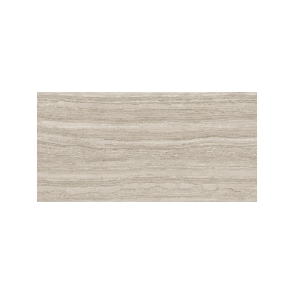 Taupe 24X48 Matte