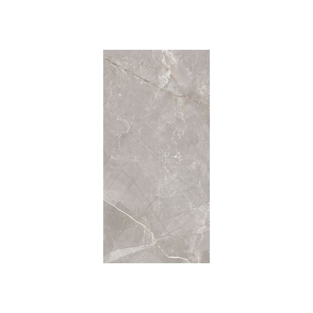 Grey Shine 12X24 Polished