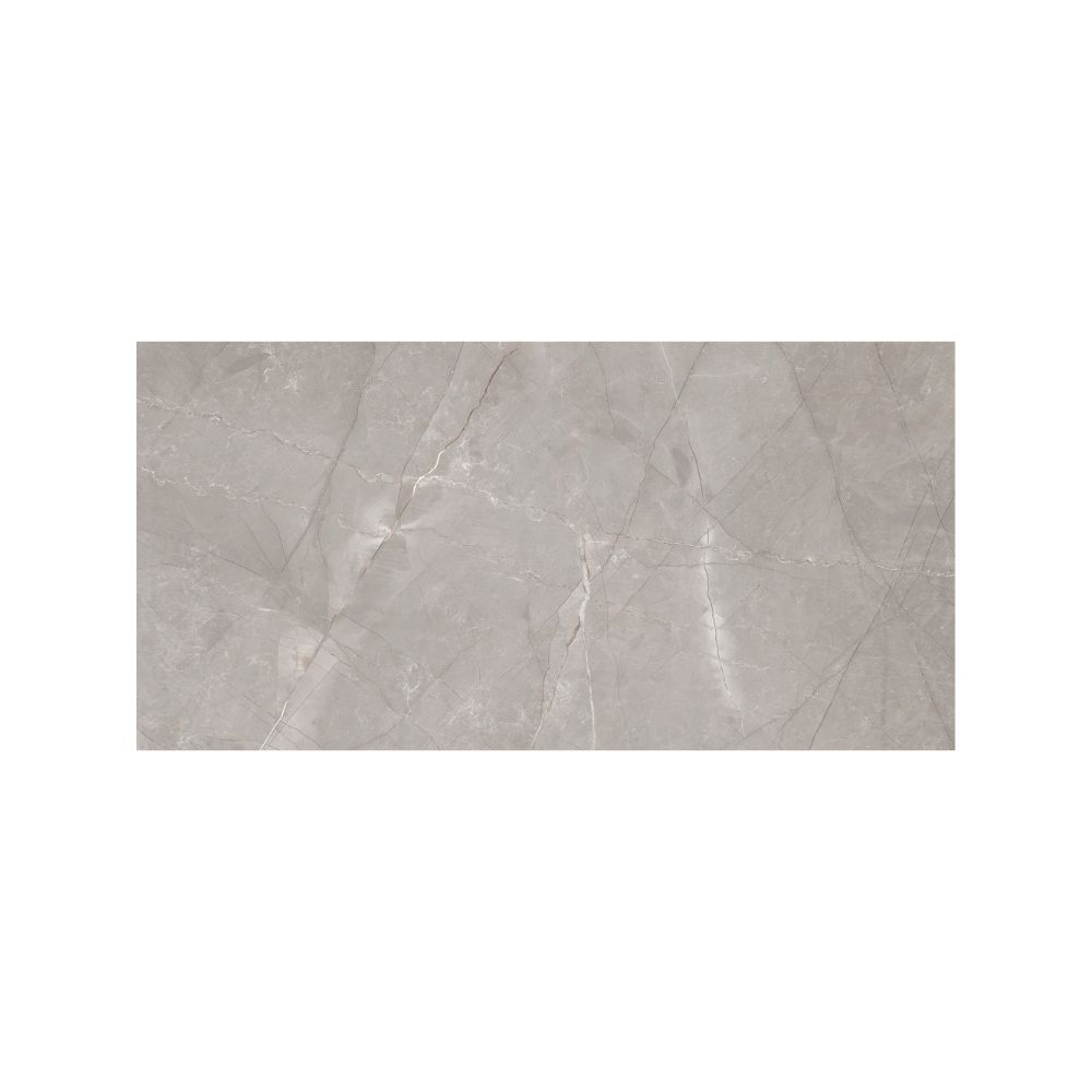 Grey Shine 24X48 Polished