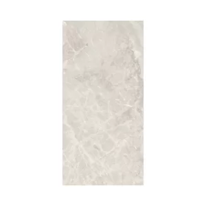 Silver 12X24 Polished