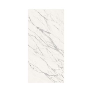 Venatino 12X24 Matte