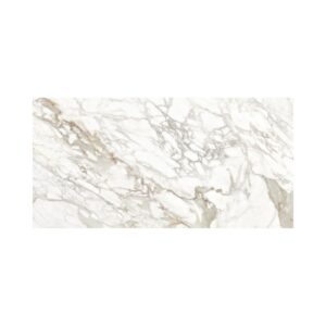 Grey 24X48 Polished