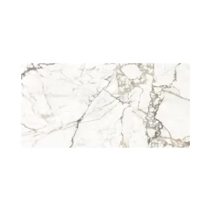 Oro 24X48 Polished
