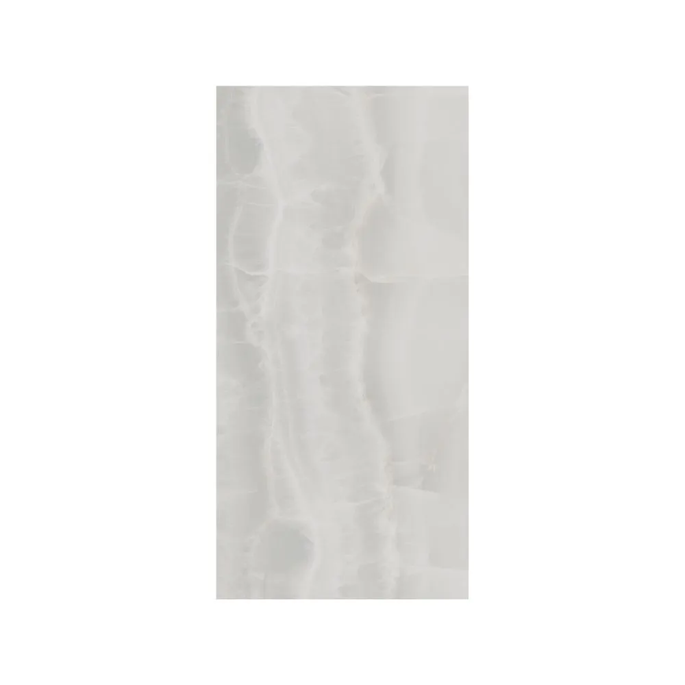 Silver 12X24 Polished