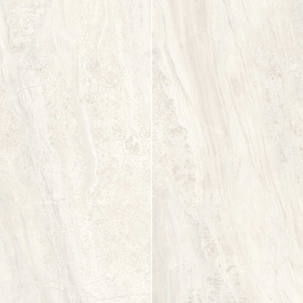 Ivory 24X48 Polished