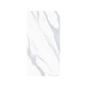 Venato 12X24 Polished