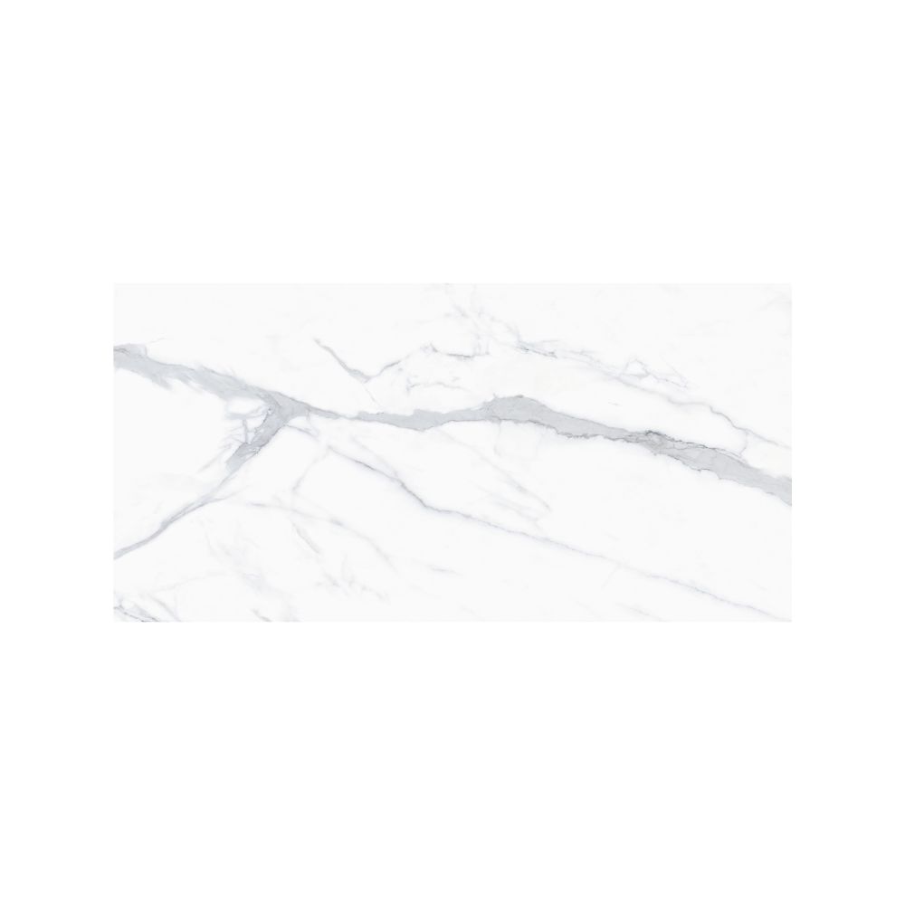 Venato 24X48 Polished