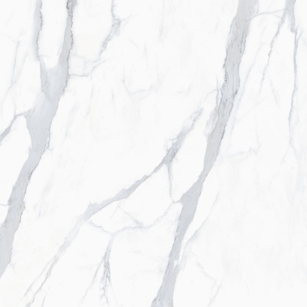 Venato 24X24 Polished
