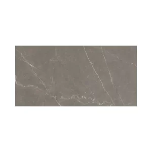 Bronze Amani 24X48 Polished