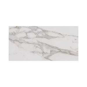 Macchia Antica 24X48 Polished