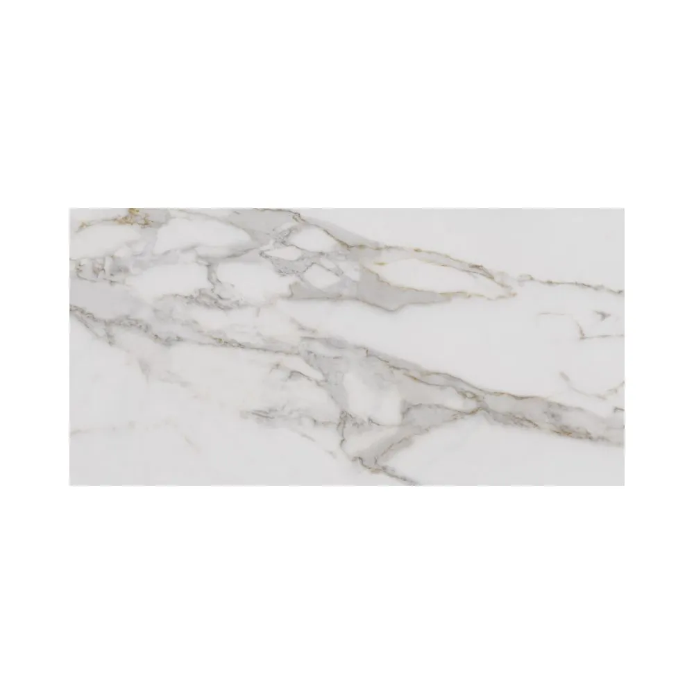 Calacatta Oro 24X48 Polished