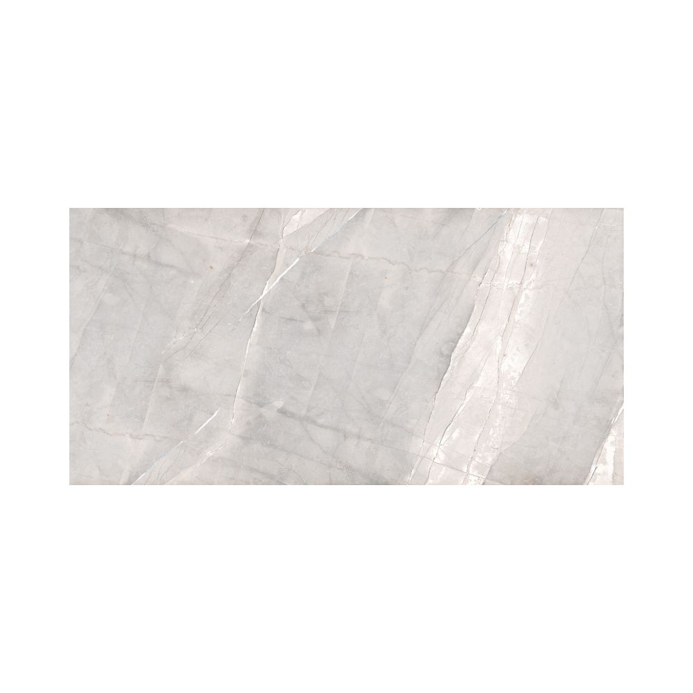 Grigio 24X48 Matte