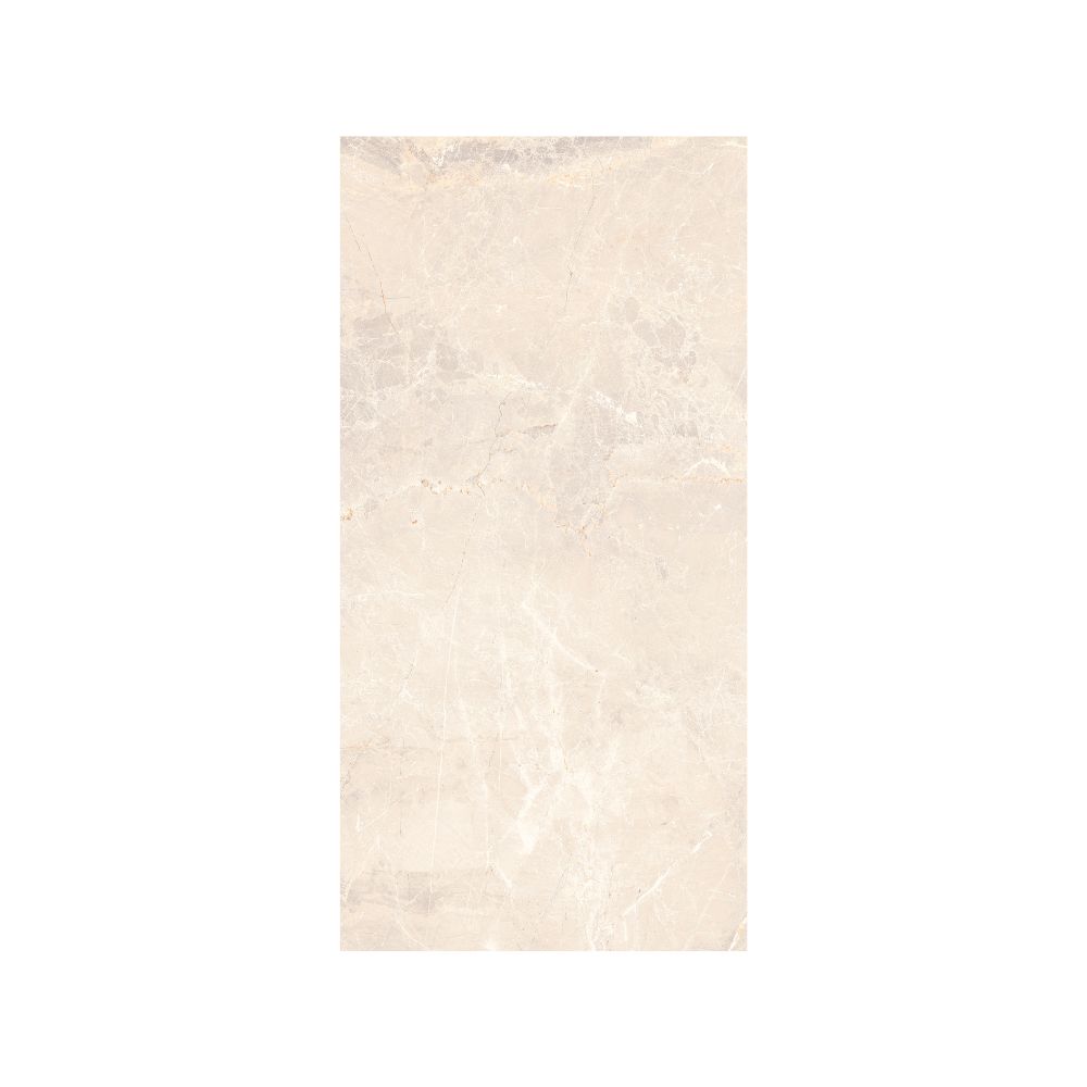 Ivory 12X24 Matte
