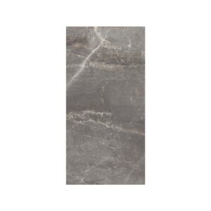 Silver 12X24 Matte