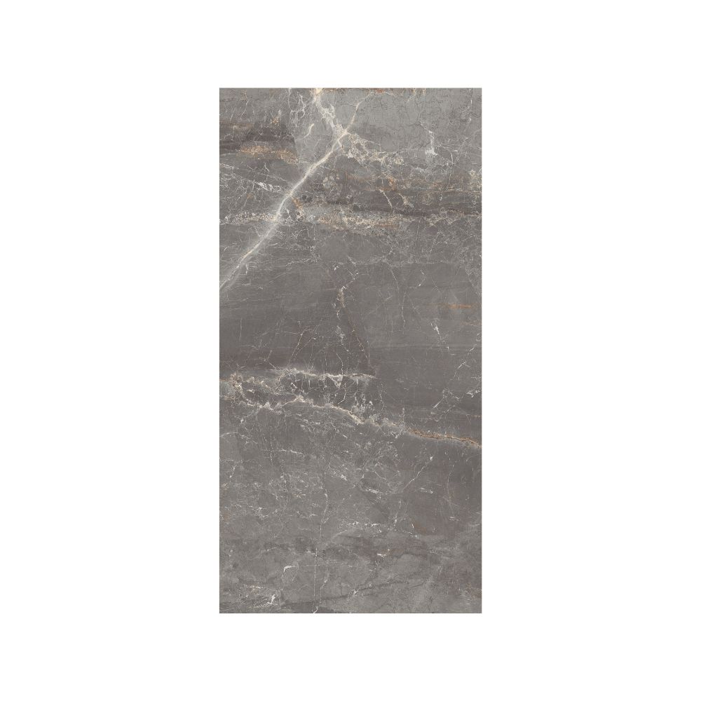 Silver 12X24 Matte