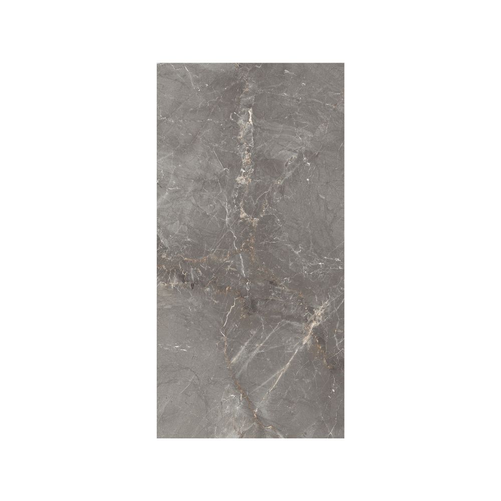 Silver 12X24 Polished