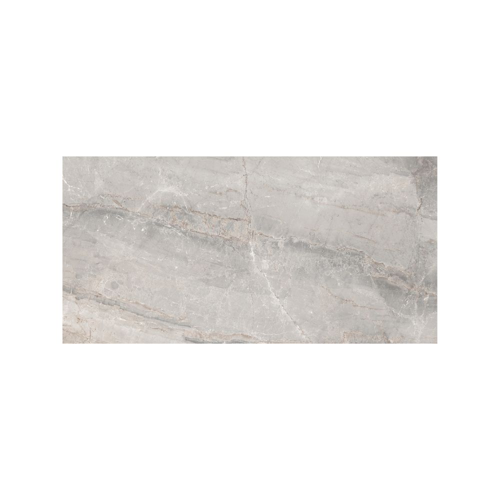 Silver 24X48 Polished