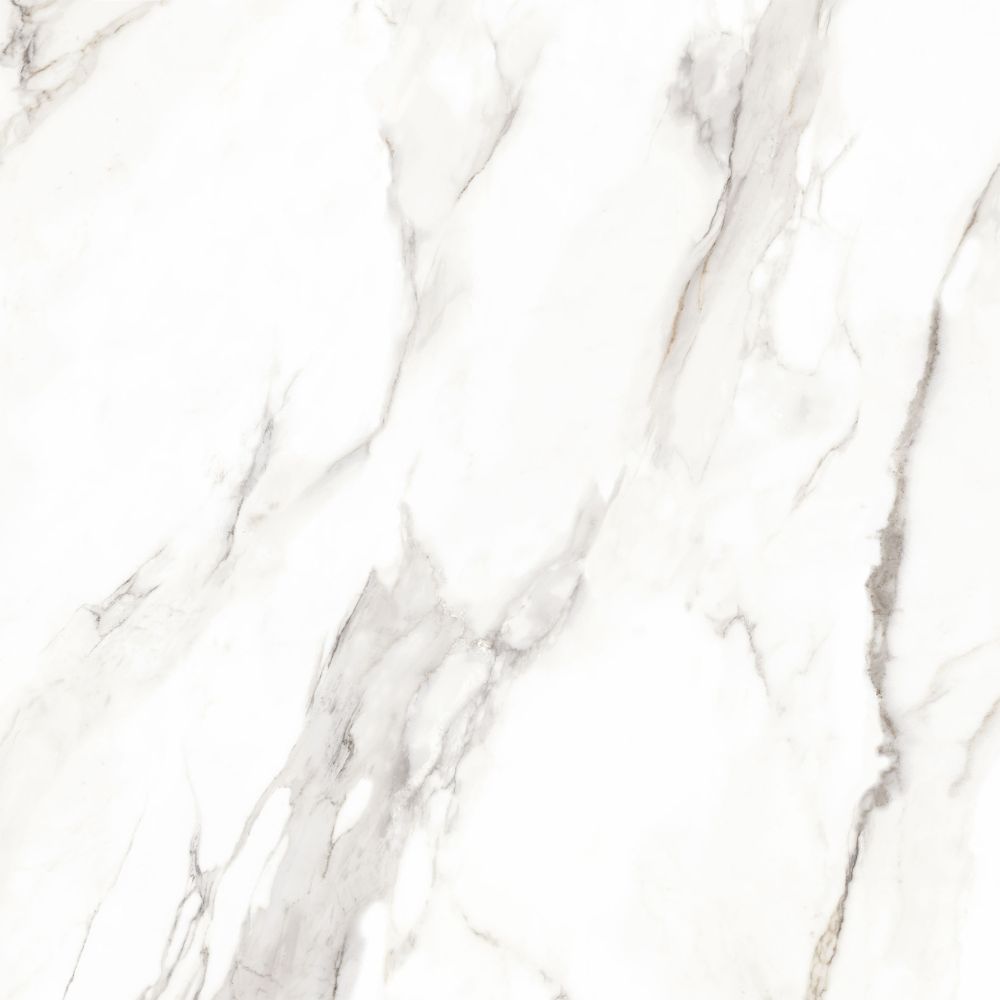 Calacatta 48" Polished