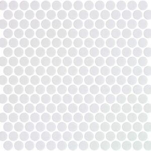 White Penny Matte