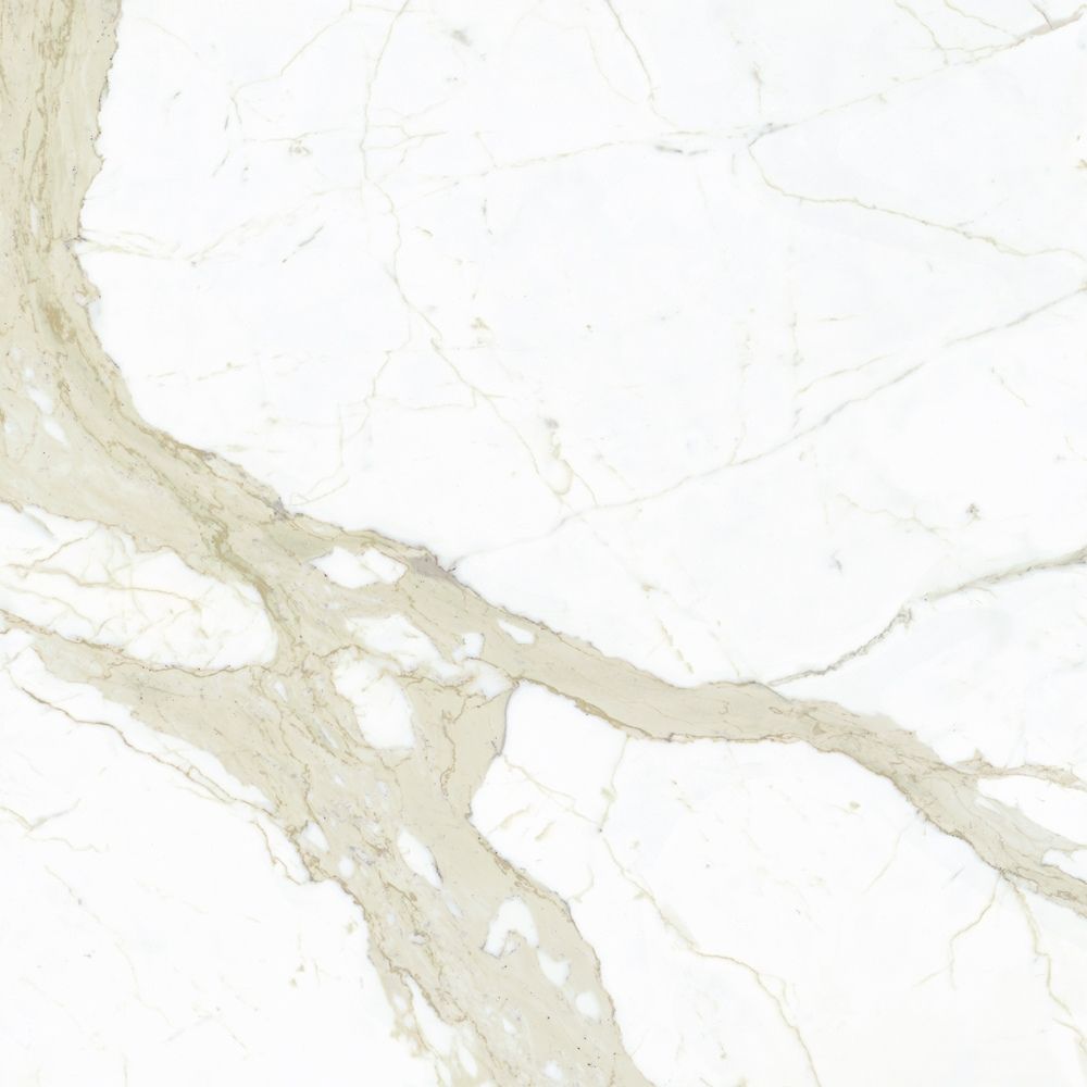 Marmi White Calacatta 60x120 Polished