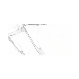 Calact White 24X48 Polished