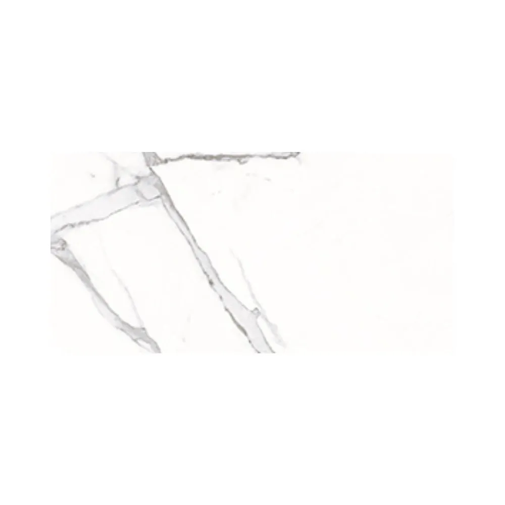 Calact White 24X48 Polished