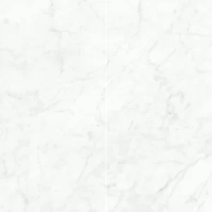 Venatino 24X48 Polished