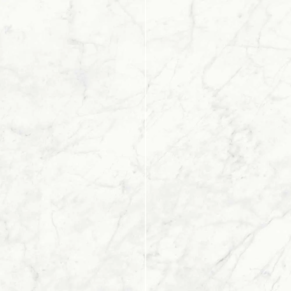 Venatino 24X48 Polished