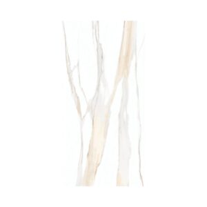 Calacatta Gold 24X48 Matte
