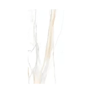 Calacatta Gold 24X48 Polished