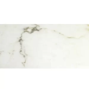 Calacatta Gold Honed 12X24 Honed