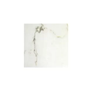 Calacatta Gold Honed 12" Honed