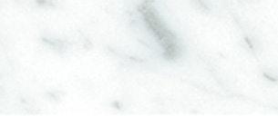 Bianco Carrara 3X6" Honed