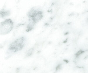 Bianco Carrara *8X16 Honed Pps