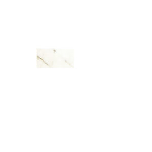 Calacatta Gold 3X6 Polished