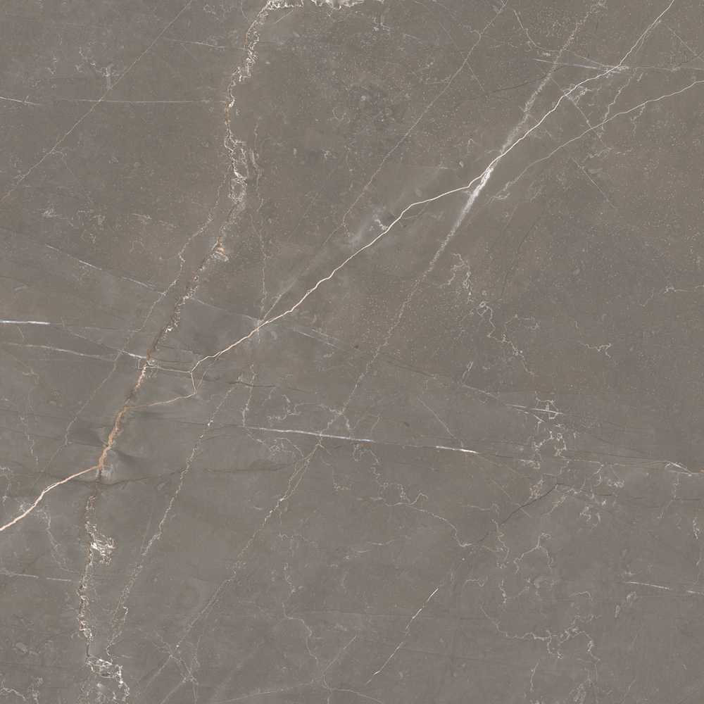 Bronze Amani 48X110 Polished